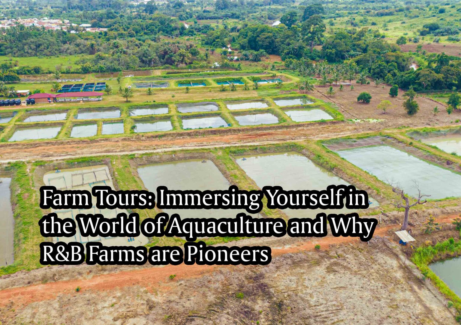 Farm Tours: Immersing Yourself In The World Of Aquaculture And Why R&B ...